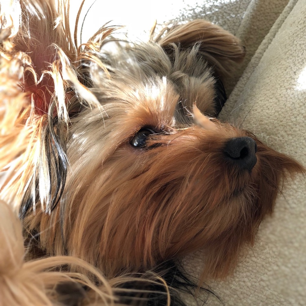 Meet your Posher, Gloria